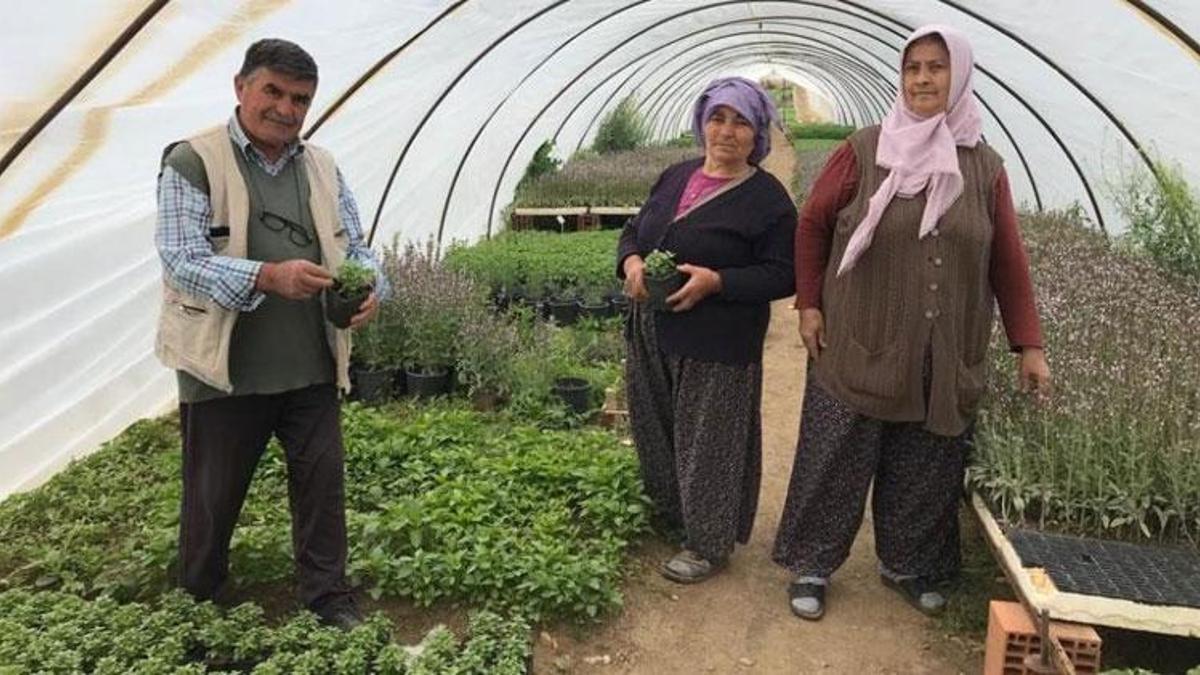 Havalar ısındı, fideye talep arttı