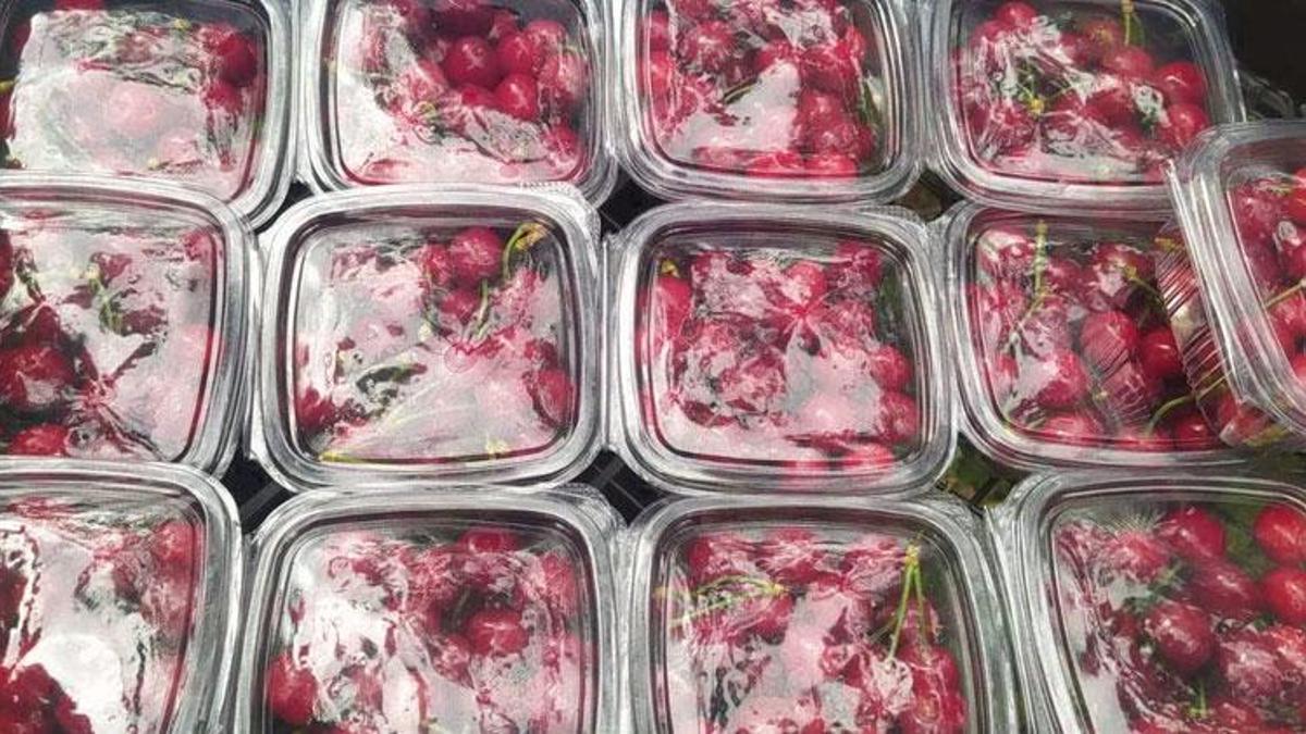 Kilosu 1000 lira! Ve hasat yapıldı