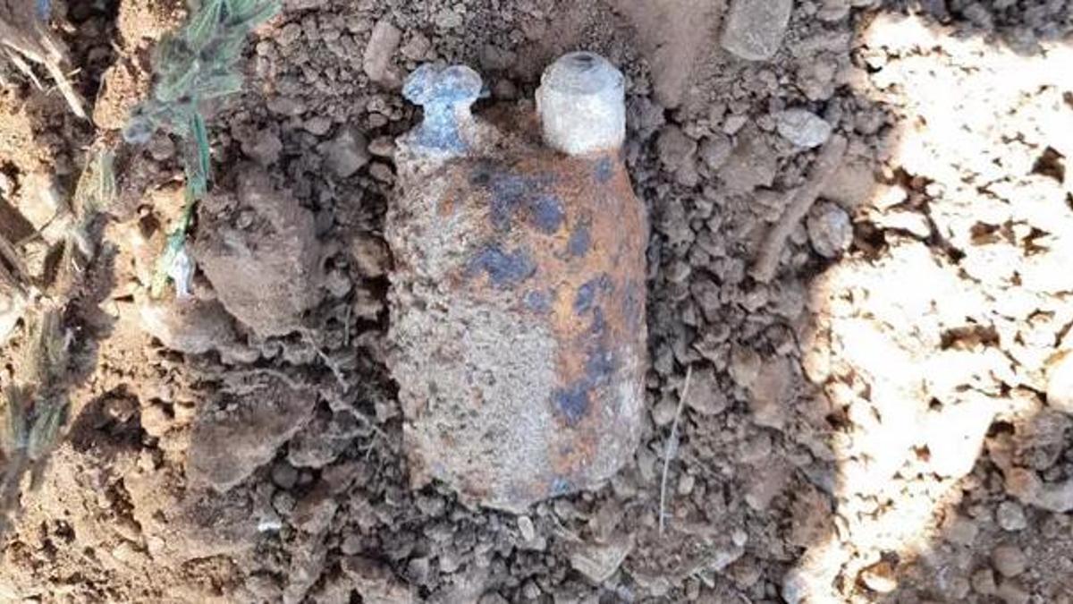 Ormanda bu halde buldular! Hemen jandarmayı arayıp...