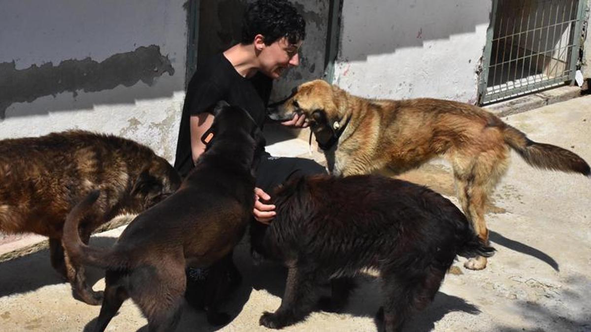 Can Bonomo'nun ablasının hayvana çiftliği görenleri şaşırtıyor! '2 yıldır 'Putin' ile birlikteyiz'