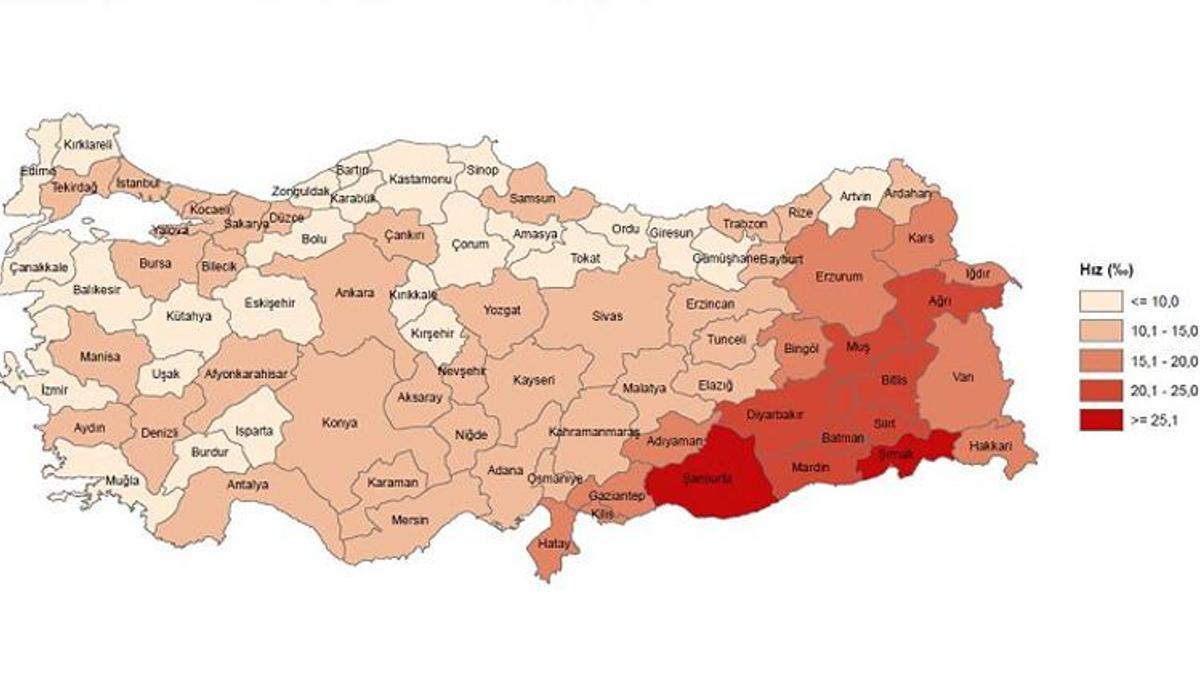 Türkiye'nin doğum şampiyonu ili belli oldu! TÜİK açıkladı