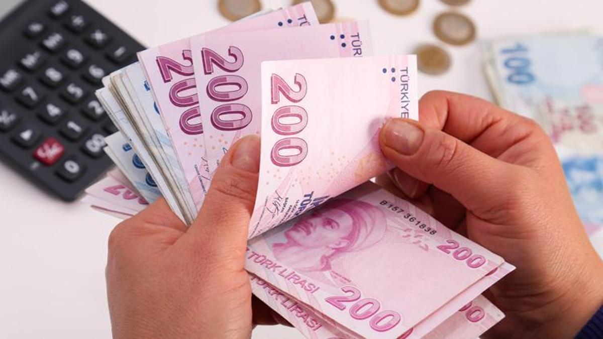 65 bin TL hibe verilecek! İŞKUR resmen duyurdu ve belli oldu! Başvurular e-Devlet'ten...