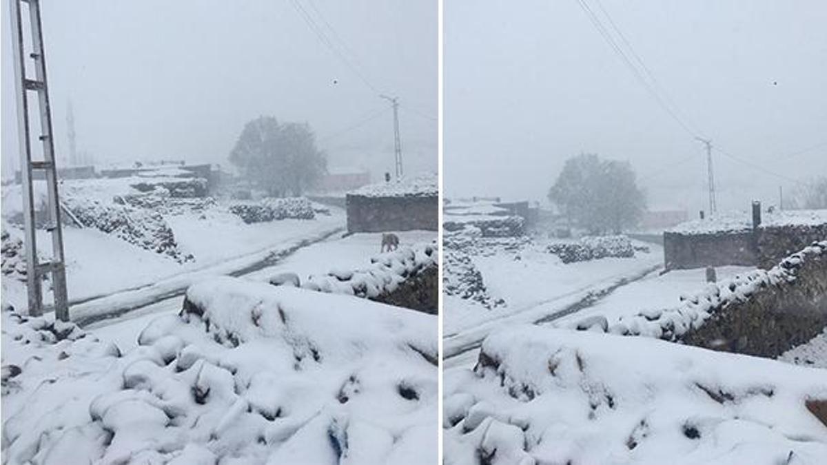 Kar yağışı fena vurdu! Mayıs ayında kış geri geldi, kar kalınlığı...