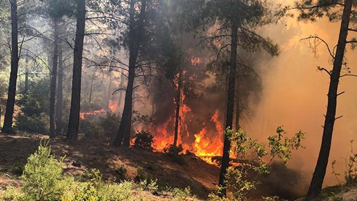 Hatay ve Burdur'da korkutan orman yangını