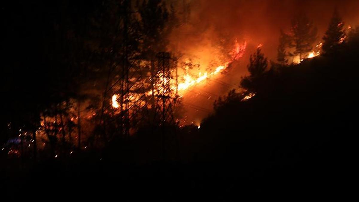 Alanya’da orman yangını! 3 dekar küle döndü