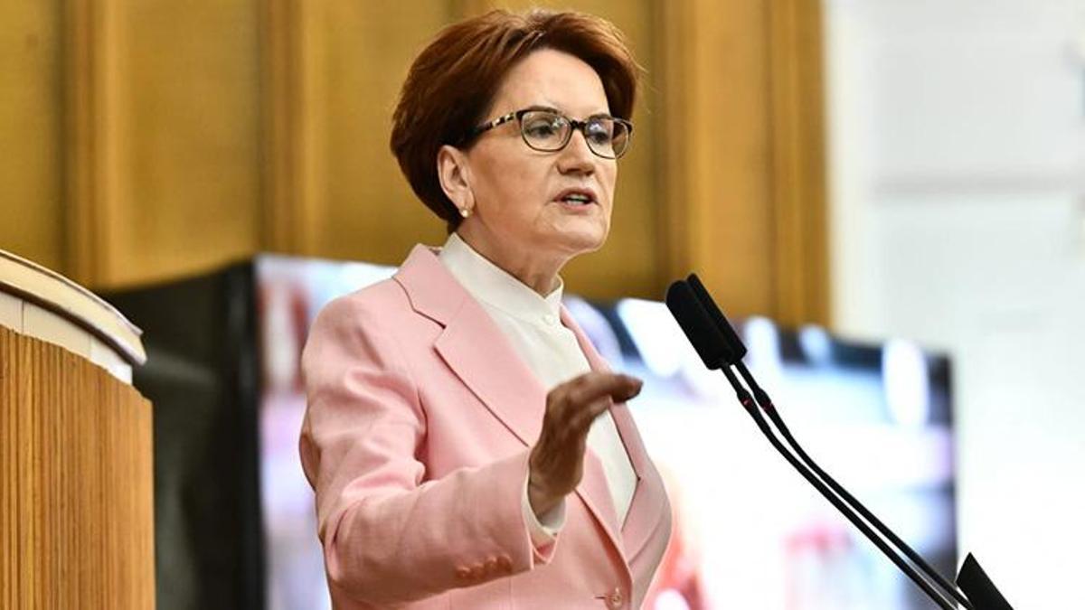 Meral Akşener: Ülkemizin Batılı ülkelere gösterdiği iyi niyet defalarca suistimal edildi