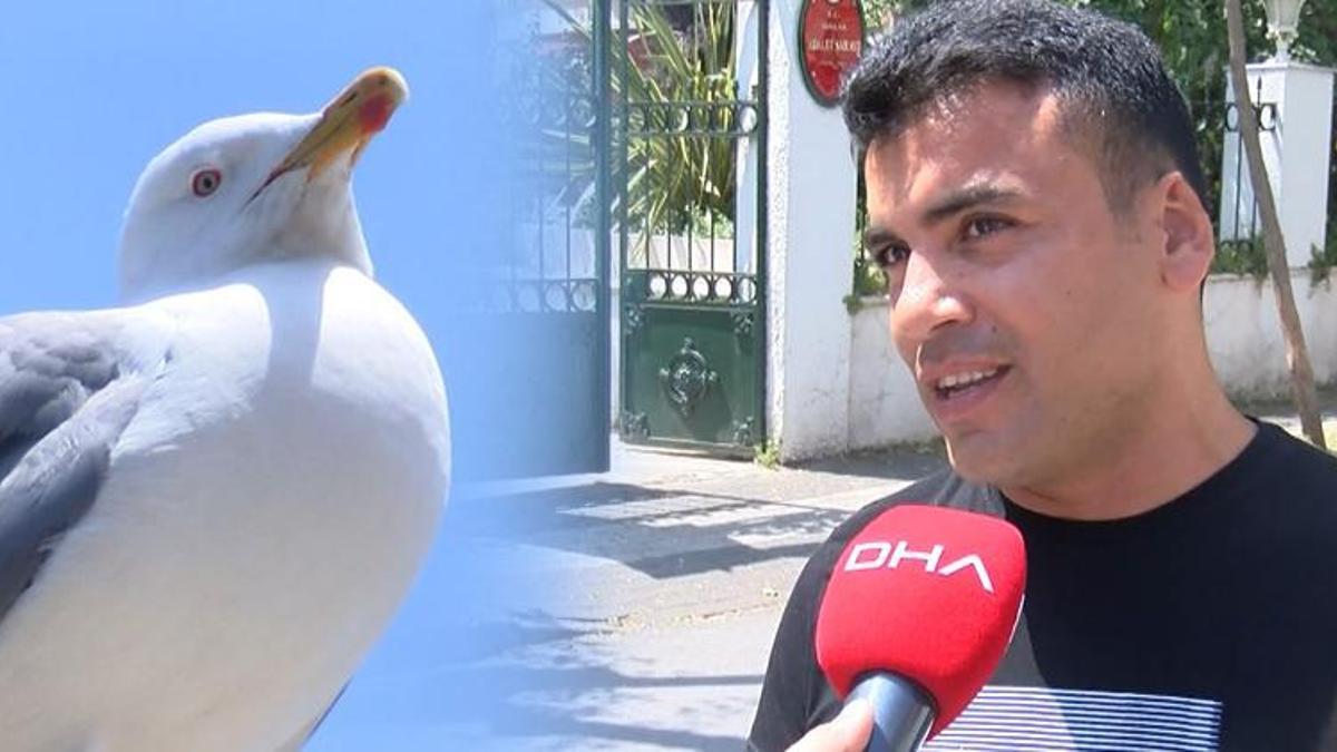 Kadına şiddete müdahale etti! Kavgada ısırılarak koparılan kulağını martı kaptı