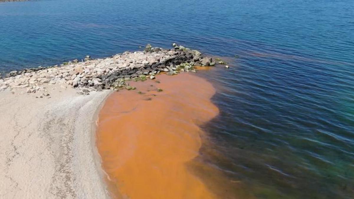 Karadeniz'deki renk değişiminin sırrı çözüldü