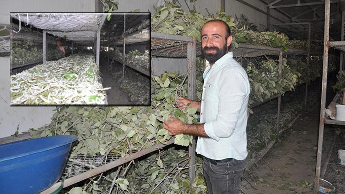 Bu meslek 40 günde 20 bin lira kazandırıyor! Devlet desteği de var...