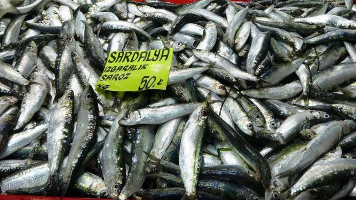 Geçen sene kilosu 70 lira olan sardalya, 50 liradan tezgahlarda