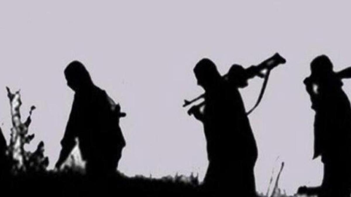 İçişleri Bakanlığı duyurdu! 3 PKK'lı ikna yoluyla teslim oldu