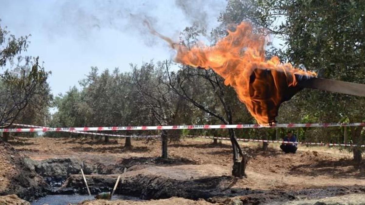 Manisa’da petrol mü bulundu, Manisa’da petrol çıktı mı?