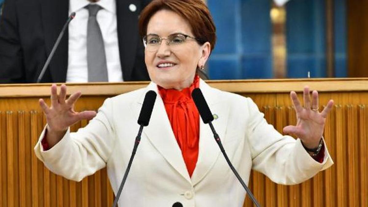 Meral Akşener: Ülkemizin ihtiyacı seçimdir