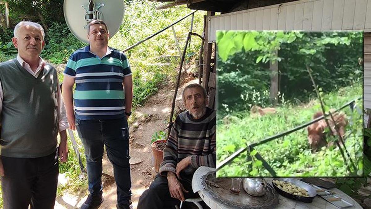 Ayılarla arkadaş oldu! Her gün ziyaretine geliyorlar: 'Alıştık, hiç korkmuyoruz'