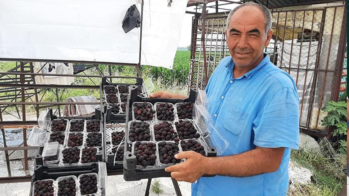 Hobi olarak başladı, şimdi 25 günde 300 bin lira kazanıyor!