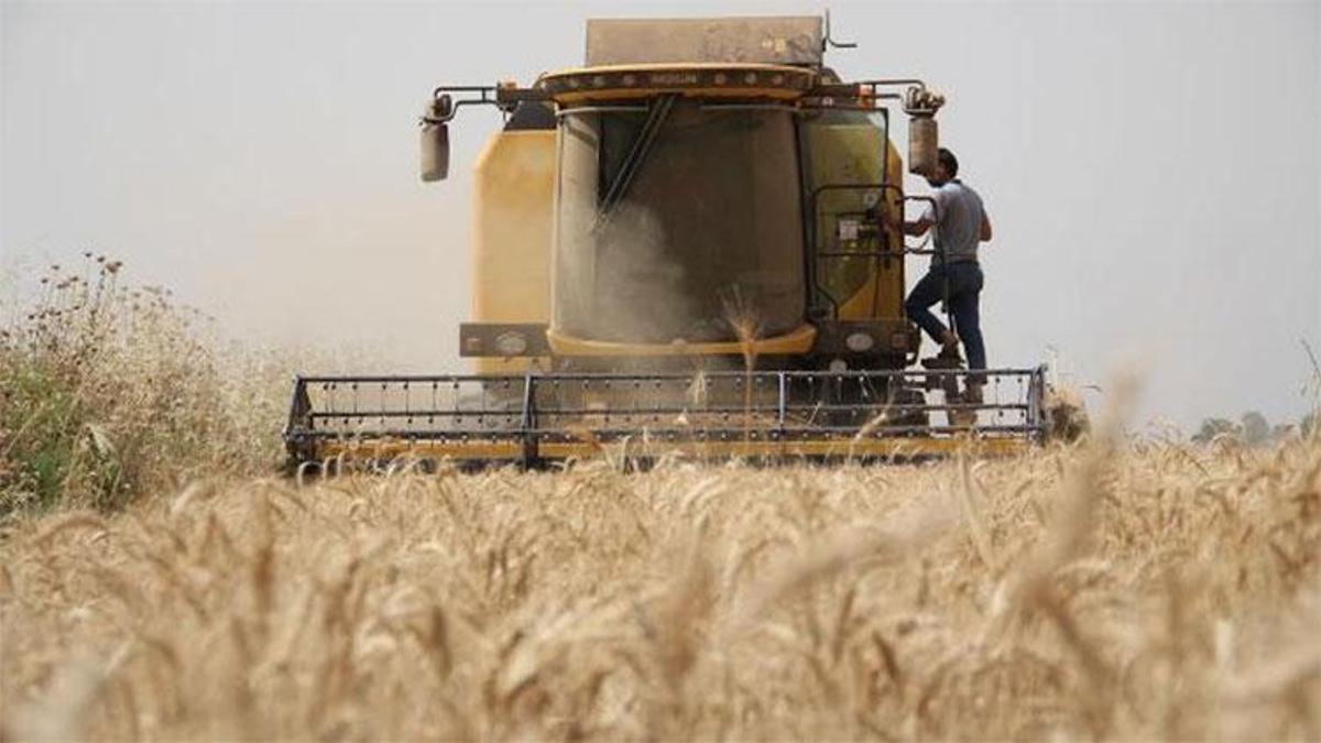 Buğday ve arpa alım fiyatı açıklandı!