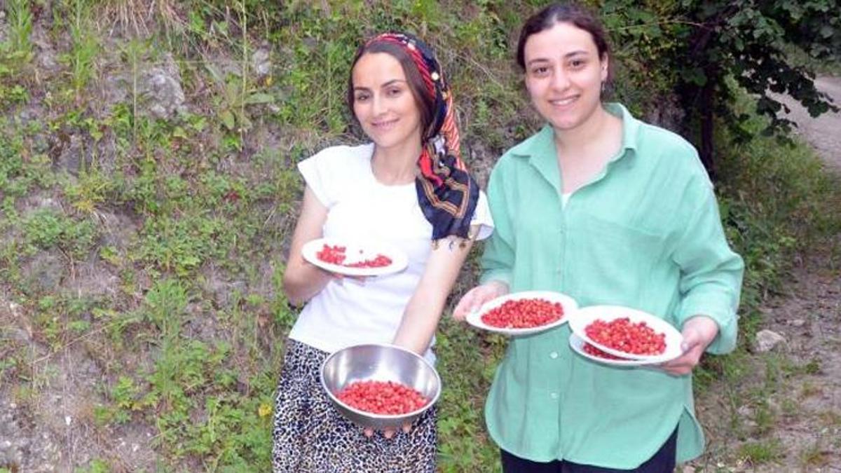 Kilosu 200 liradan satılıyor! Kapış kapış satılıyor! Kadınların geçim kaynağı oldu