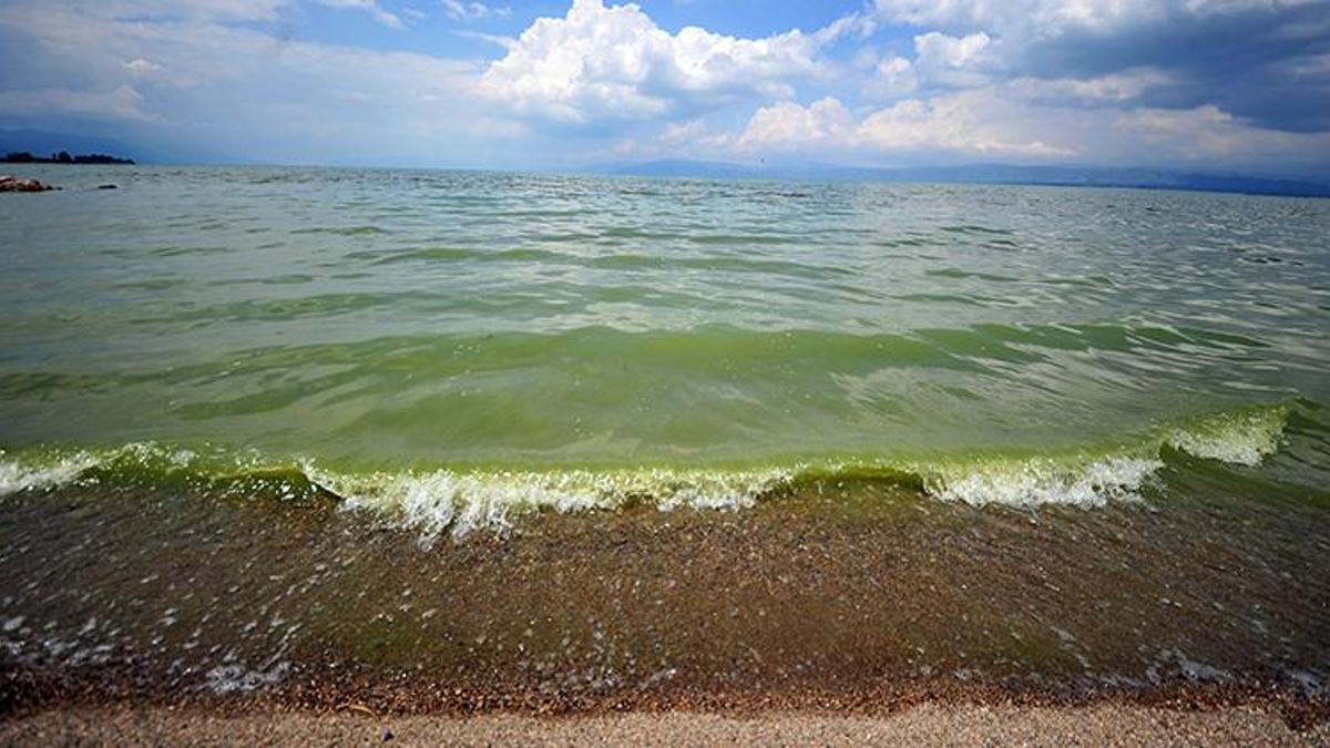 İznik Gölü, alg patlaması nedeniyle yeşile büründü