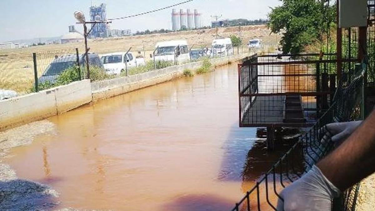 Sulama kanalına düşen ikizler boğularak hayatını kaybetti!