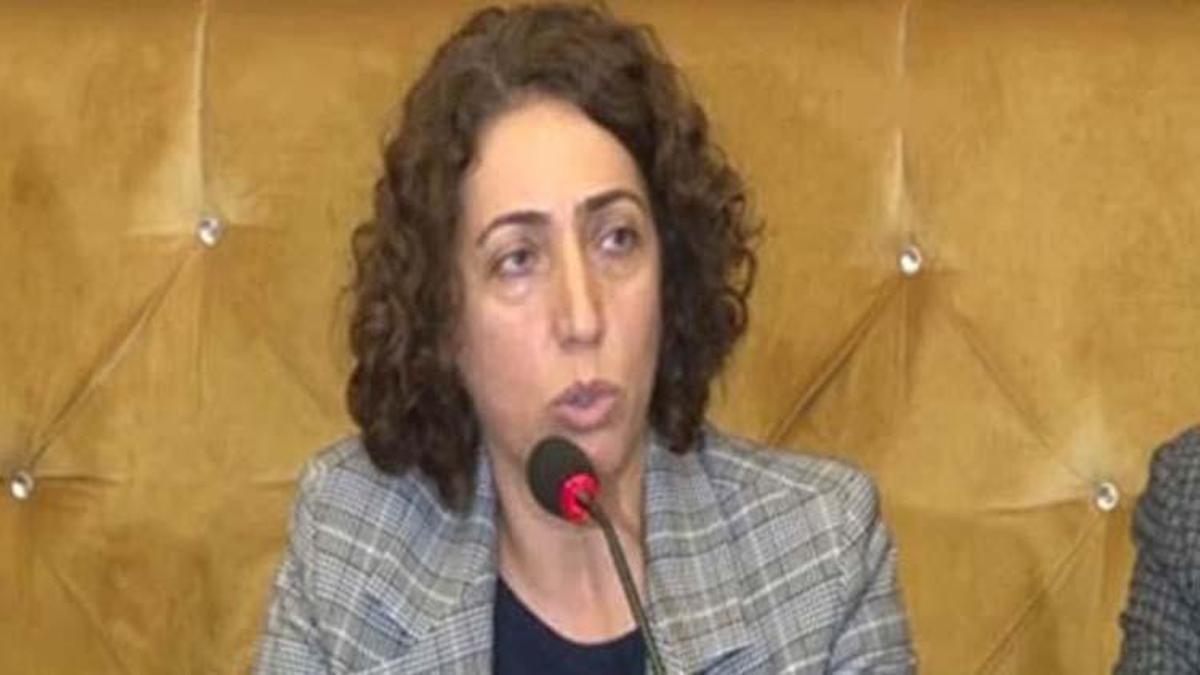 Saliha Aydemir kimdir? HDP Milletvekili Saliha Aydemir nereli, kaç yaşında?