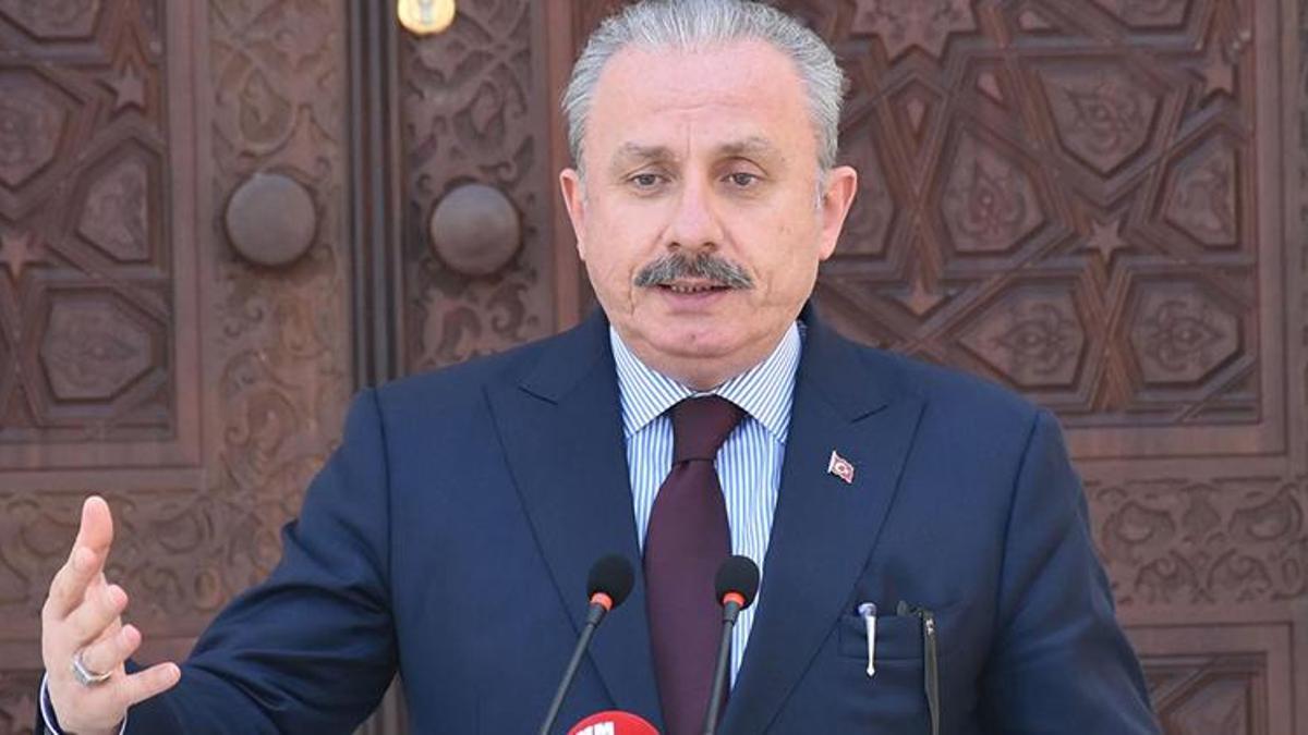 Meclis Başkanı Şentop'tan, DBP'li vekilin polise yumruk atmasına sert tepki!
