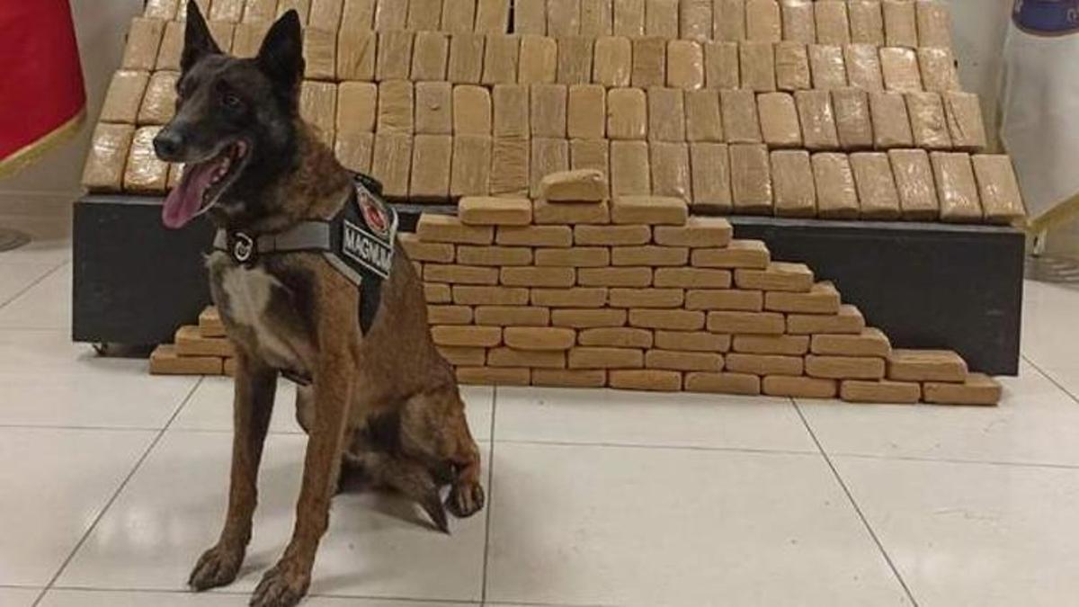 'Magnum', araca gizlenen 95 kilo eroini buldu
