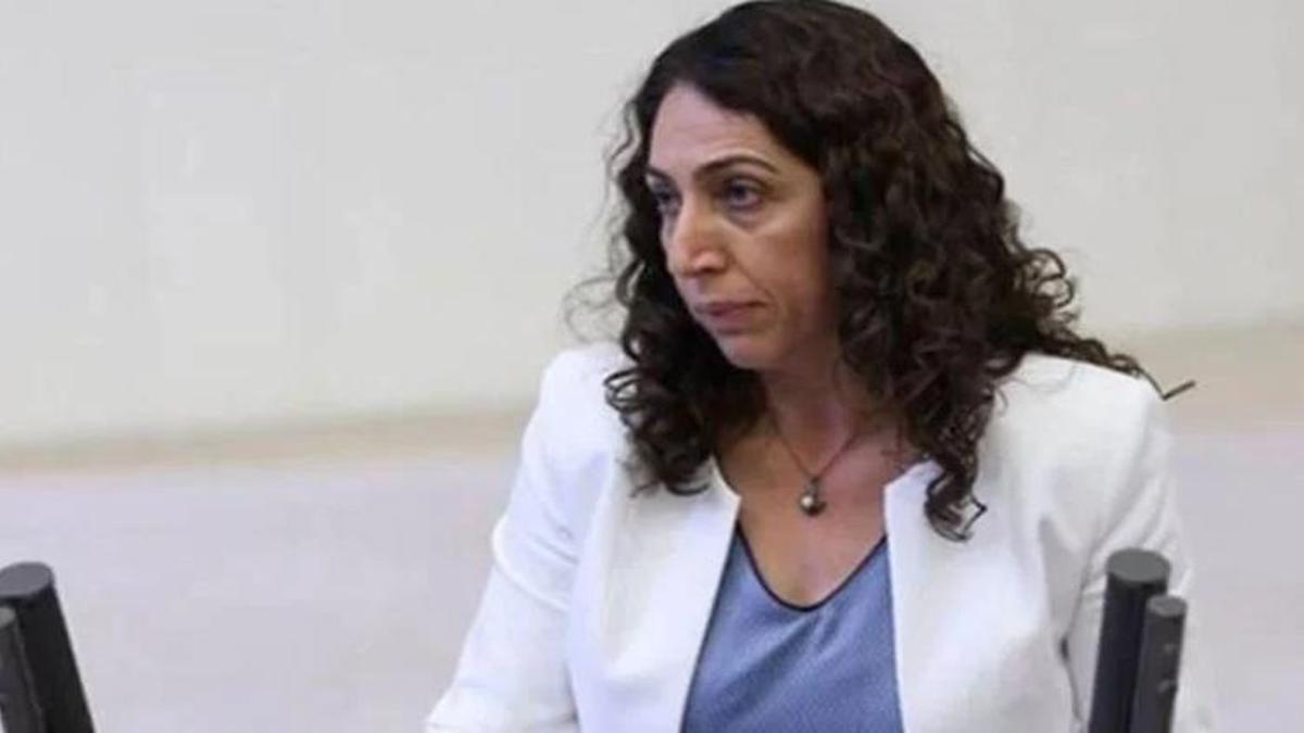 DBP'li Salihe Aydeniz hakkında 3 ayrı suçlama