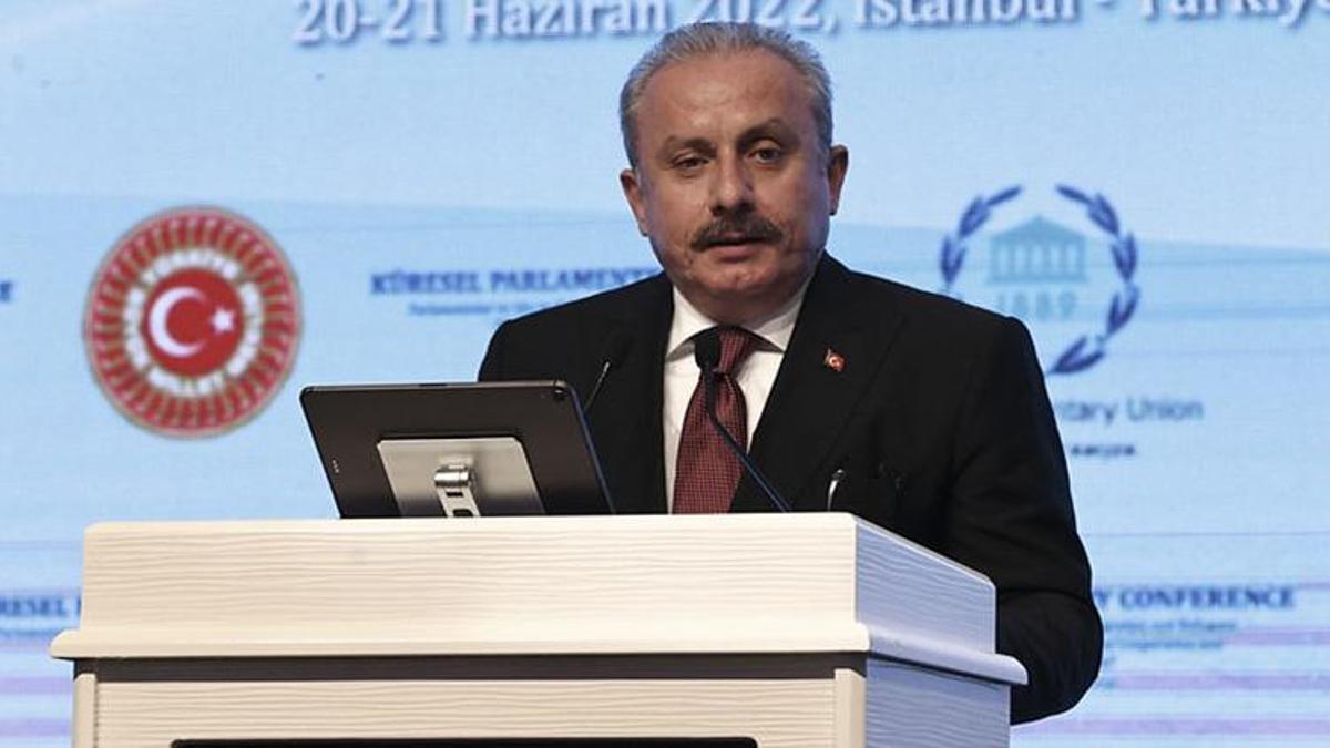 TBMM Başkanı Şentop: Göç sorununun Türkiye'nin omuzlarına yıkılması haksızlıktır