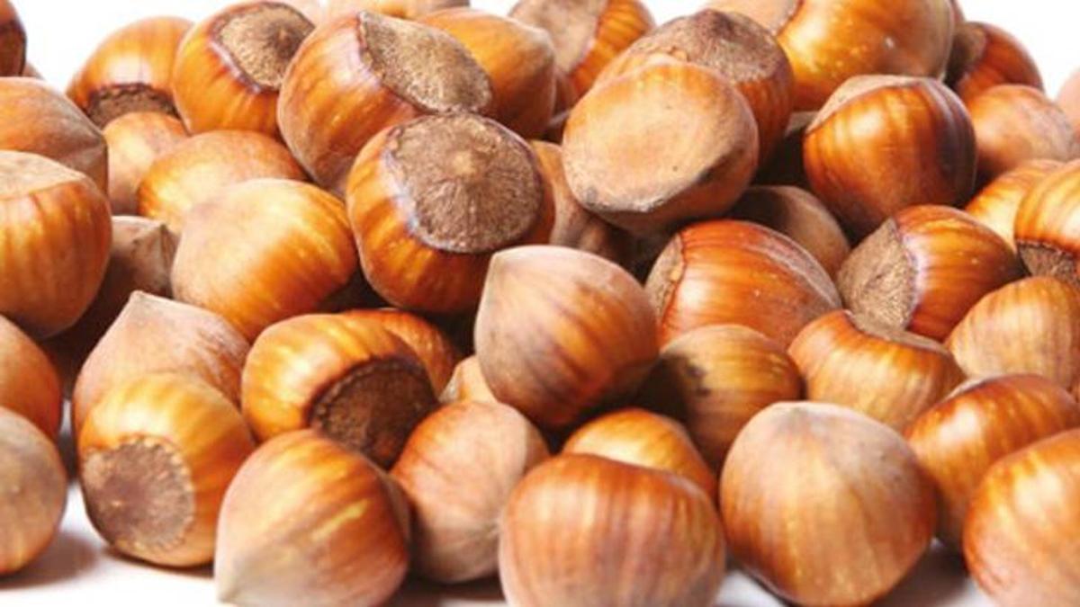 Giresun'un Tombul Fındığı, AB tarafından tescillendi!