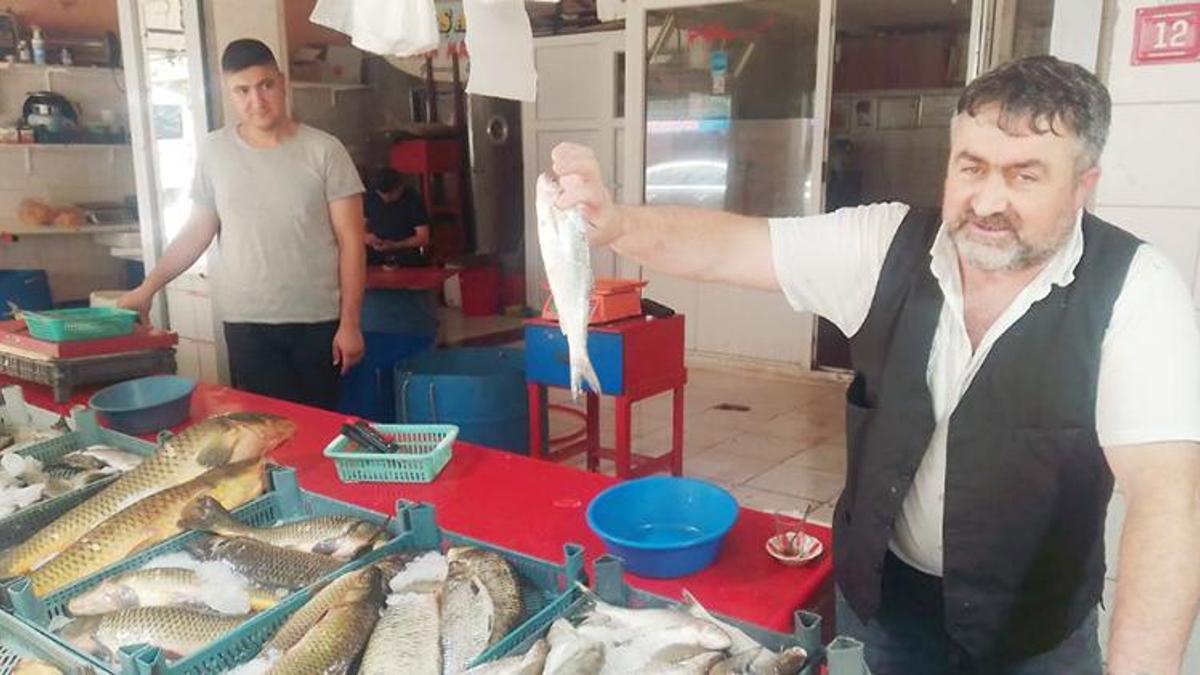 Kilosu 30 liradan tezgahlarda! Palamut, çupra ve levrek...