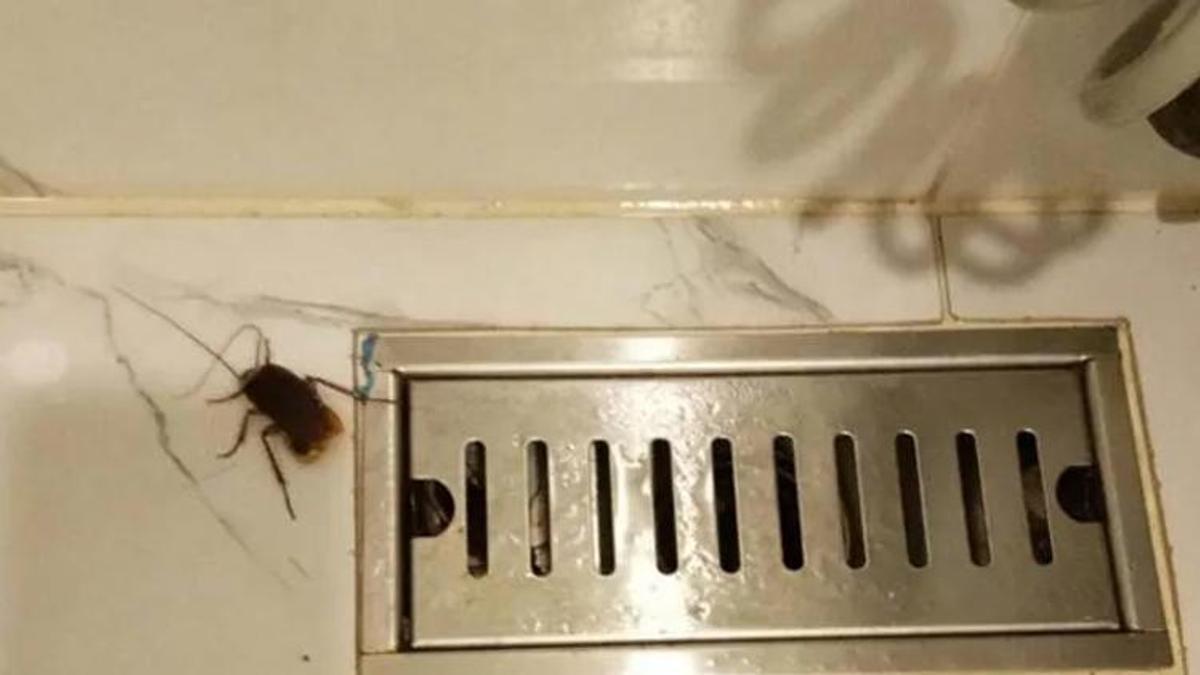 Tatil kabusa döndü! 23 bin liralık hayal kırıklığı