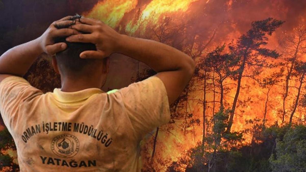 Muğla Marmaris'te orman yangını! Bakan Soylu duyurdu: 10 ton su atan helikopterler görevde...