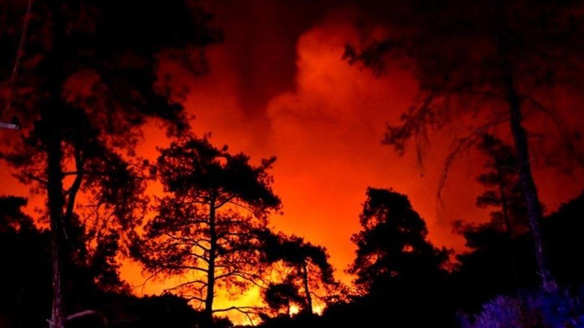 Marmaris yangınıyla ilgili sıcak gelişme! Bakan Koca açıkladı: 29 kişi etkilendi