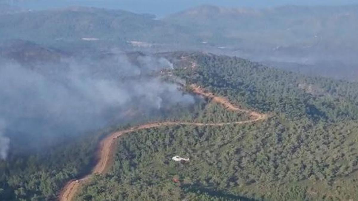 Marmaris'teki orman yangınında flaş gelişme! Ormanı yaktığını itiraf etti