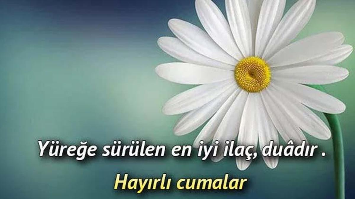 Yeni, en güzel, ayetli, dualı, hadisli, anlamlı Resimli Cuma mesajları ve sözleri! 24 Haziran Cuma mesajları 2022!