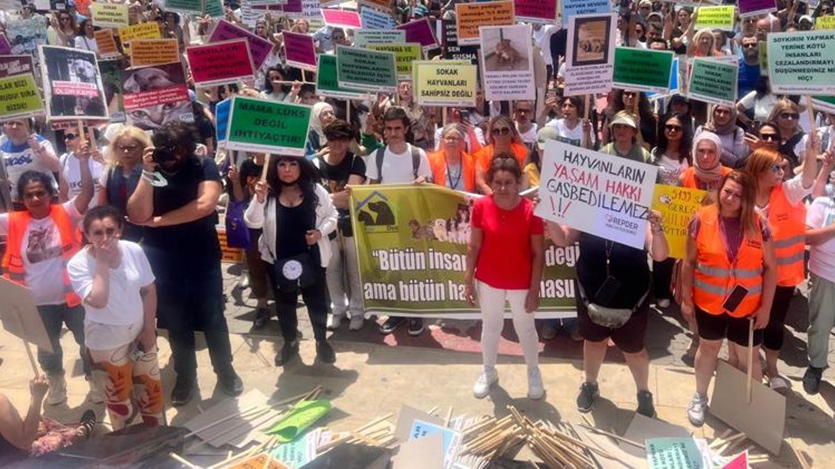 Yüzlerce hayvansever Kadıköy'de buluştu