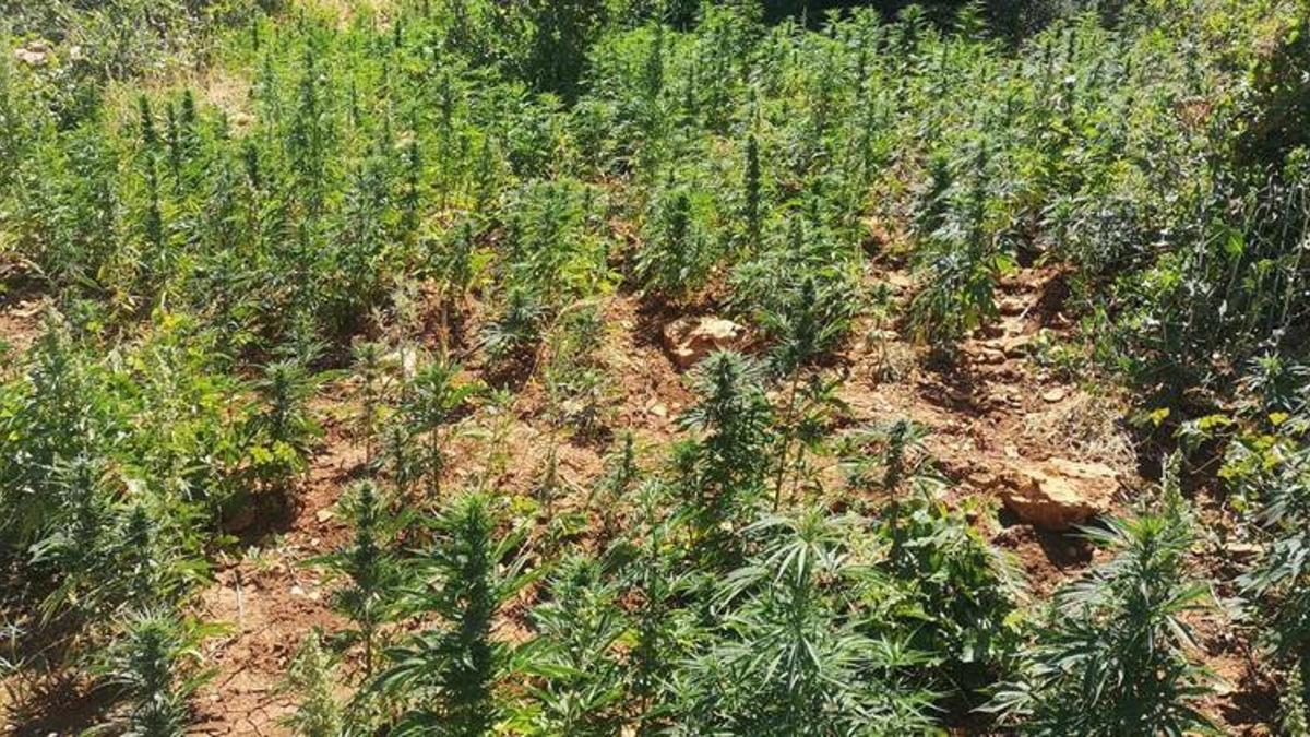 Diyarbakır'da bugün operasyon başlatıldı! 1017 asker görev alıyor