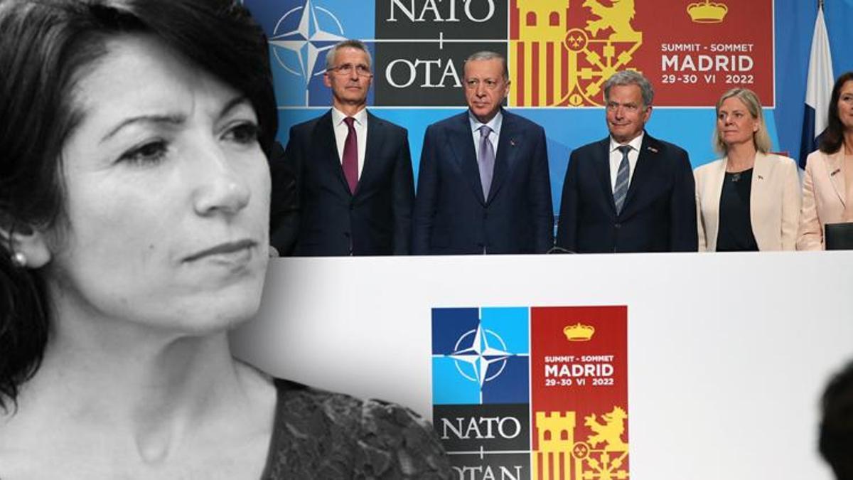 NATO’daki Türkiye zaferi PKK yanlısı vekili çılgına çevirdi! İsveç’i böyle tehdit etti