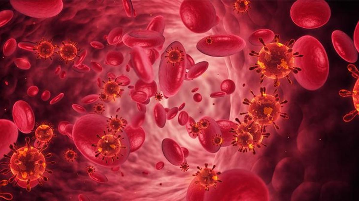Dünyayı korktutan açıklama! Kabus yeniden hortladı, birçok ülke alarm verildi