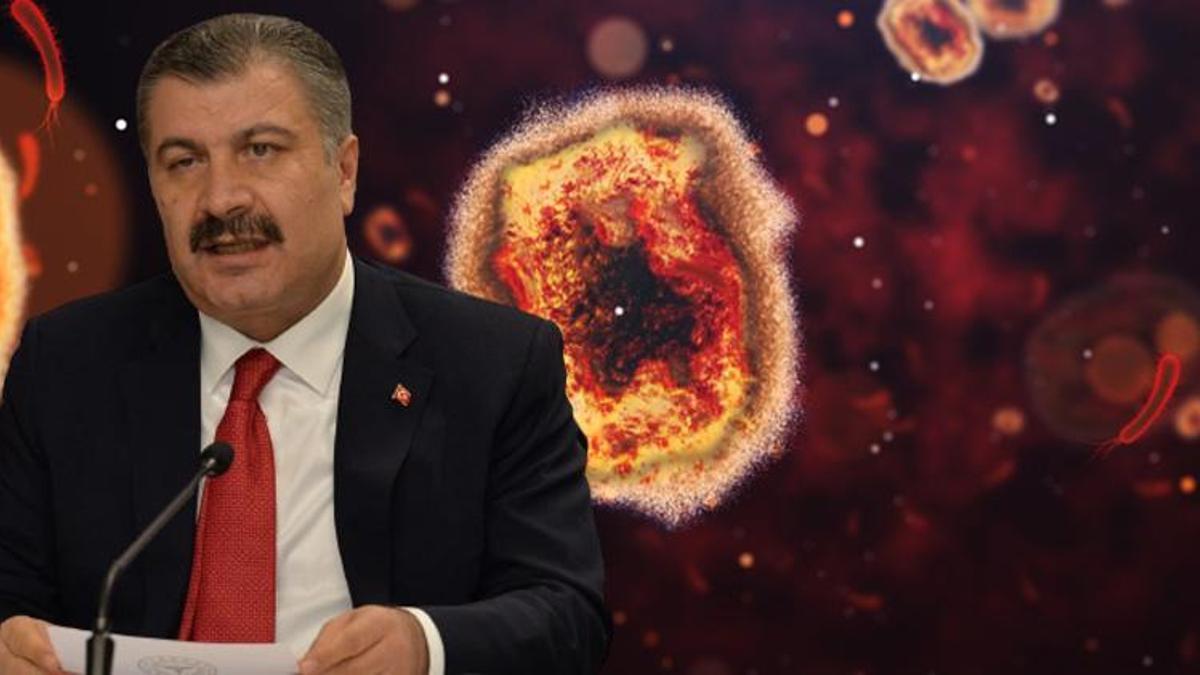 Türkiye'de bir kişide maymun çiçeği virüsü tespit edildi! Bakan Koca duyurdu
