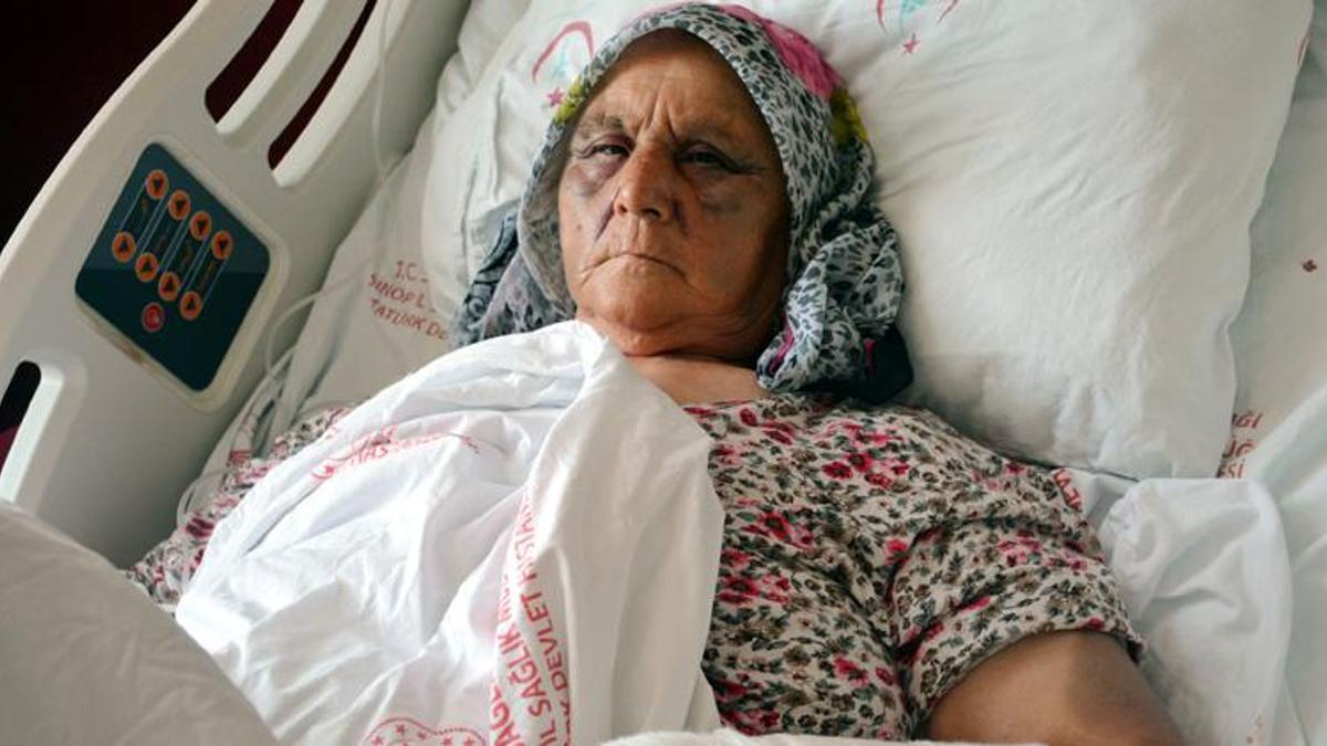 Para vermeyen anne ve babasını hastanelik etti