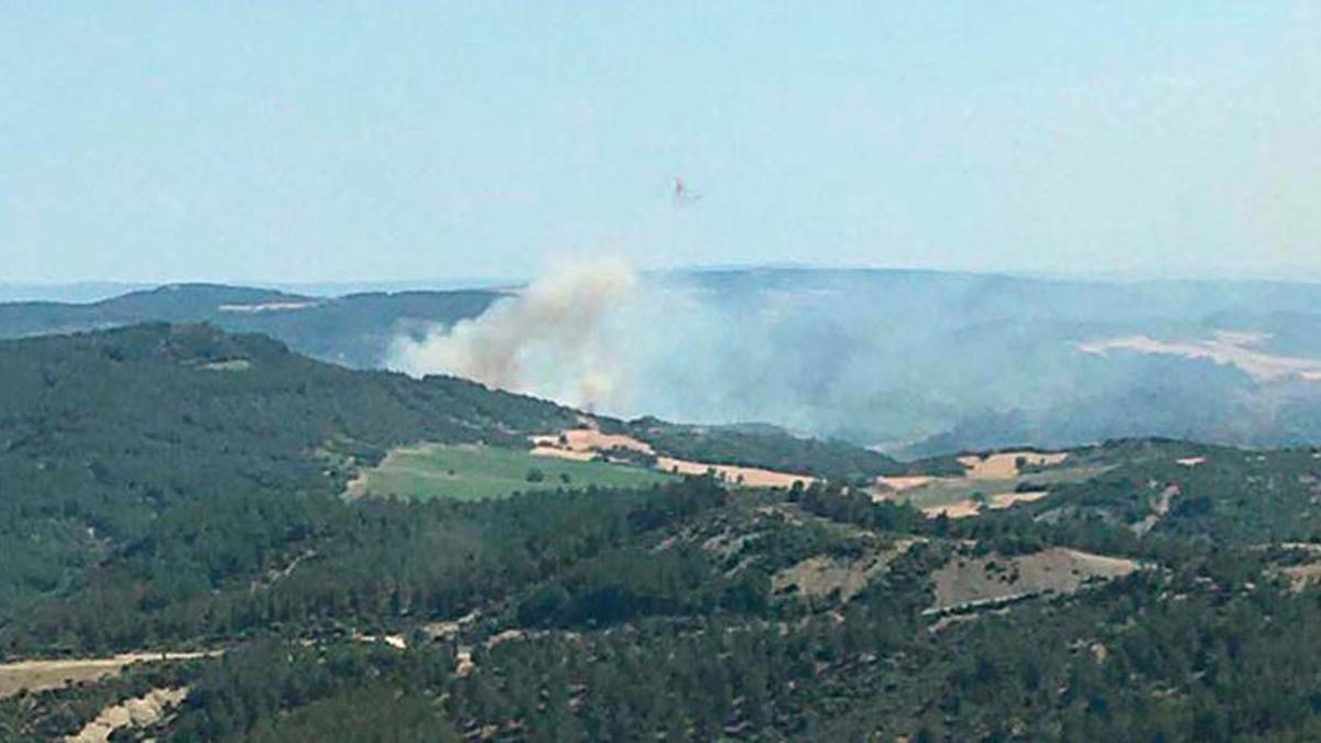Çanakkale'de ormanlara giriş yasaklandı