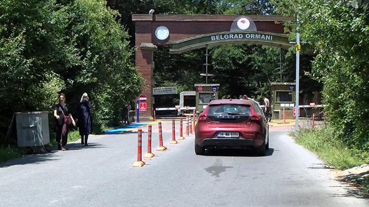 İstanbul'da ormanlarda ateş yakma yasağı başladı