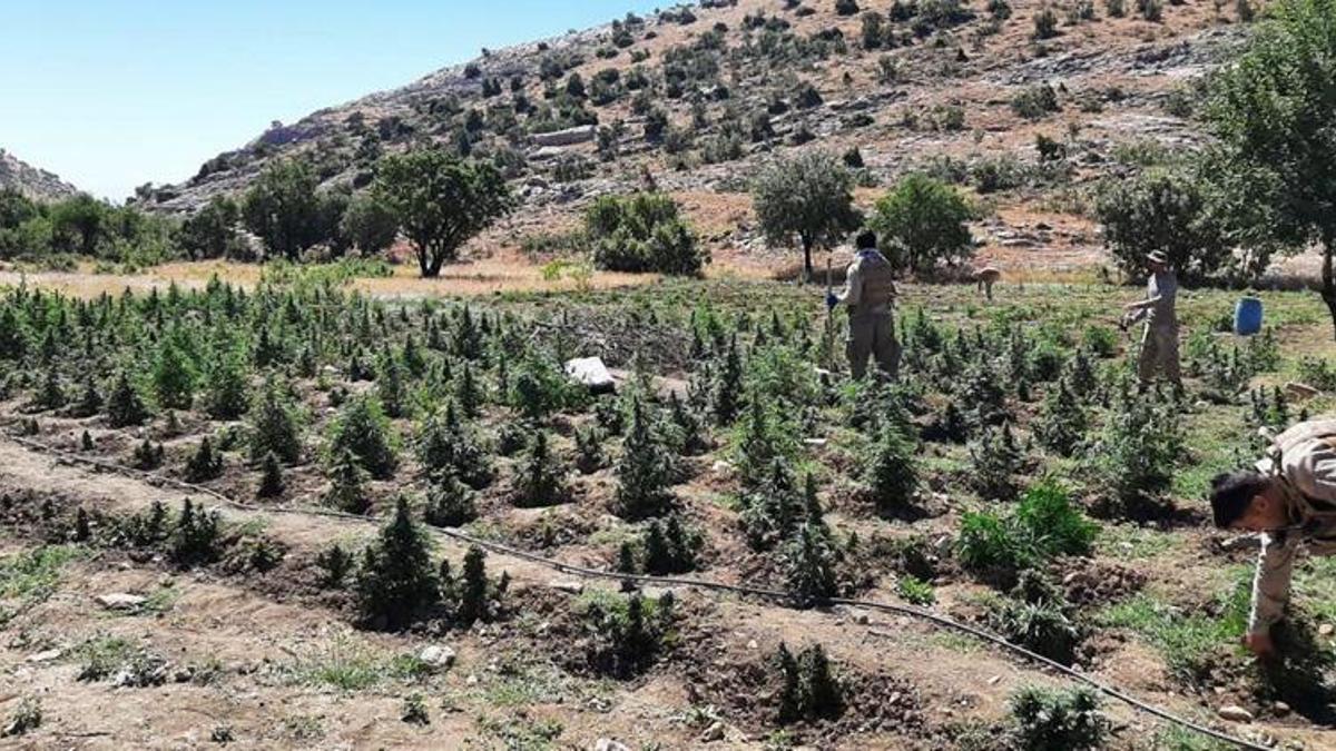 Diyarbakır'da 51 noktada operasyon! 1040 personel görev alıyor