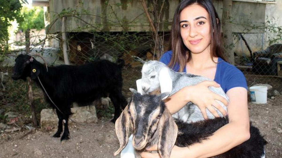 Kurban Bayramı'nda kesmek için aldı! Sabah görünce inanamadı, milyonda bir oluyor