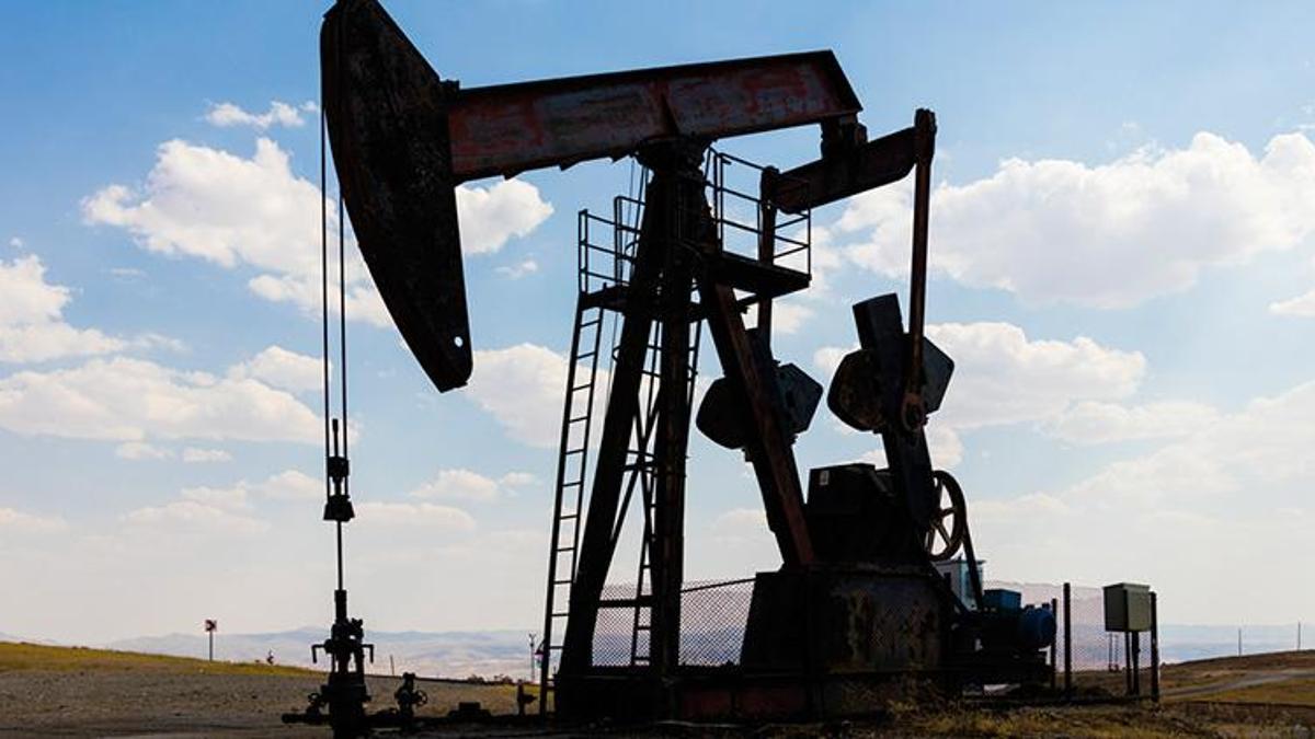 TPAO, petrol üretiminde rekor tazeledi