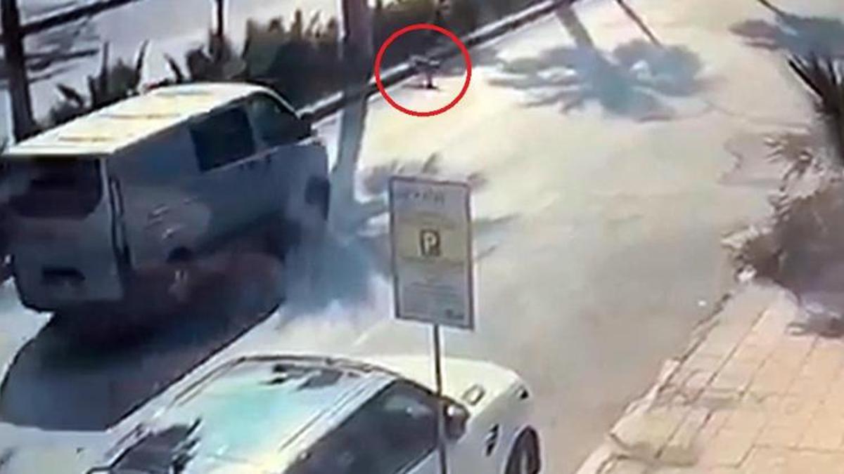 Kamyonetin çarptığı 'Miya' öldü, sürücü kaçtı