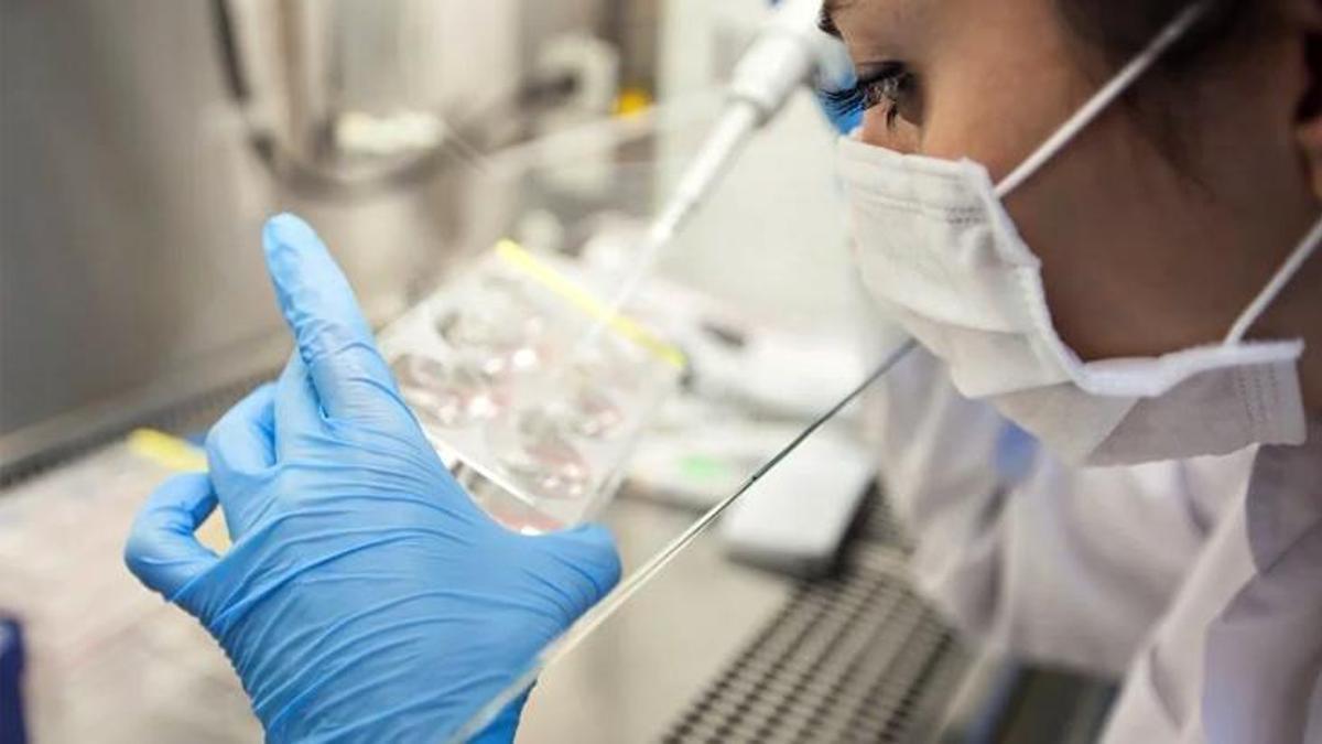 DSÖ'den son dakika kovid-19 açıklaması: Acil sağlık durumu olmaya devam ediyor