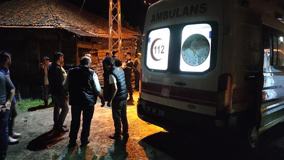 Kastamonu'da 'ceviz ağacının dalını neden kestin' kavgası: 1 ölü, 2 yaralı