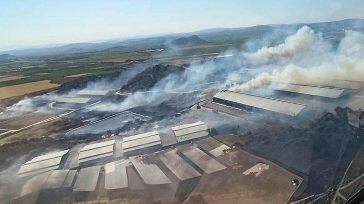 İzmir Bergama'da makilik yangını!